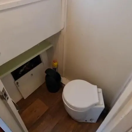 Paradijsvogel Botel *