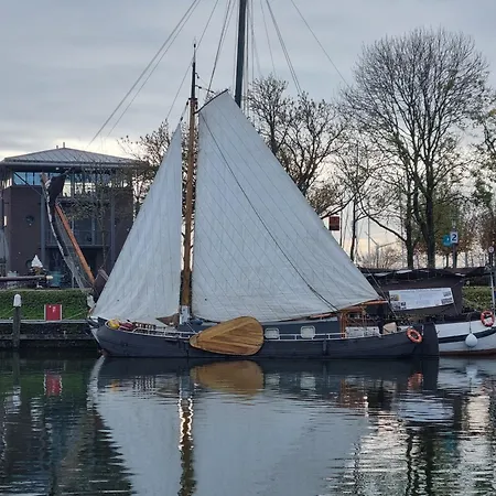 Paradijsvogel * Enkhuizen